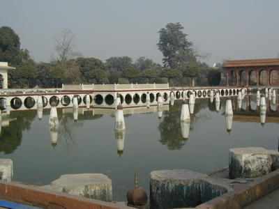 wpid-shalimar-1242851485-2009-05-20-22-341.jpg